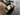 High Fidelity Cables Professional Series AES/EBU Digital Cable 