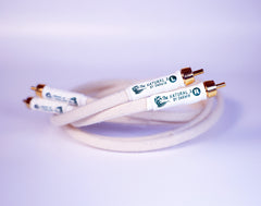 Darwin Natural 2 Interconnects