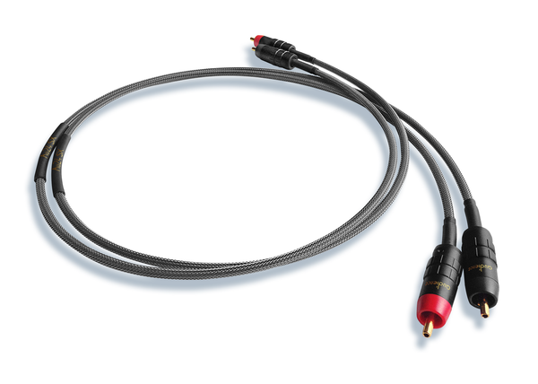 Audience Au24 SX RCA Interconnects