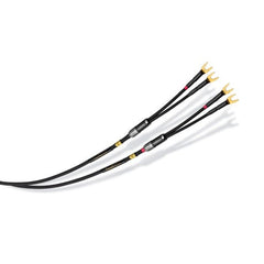 Audience frontRow Bi-Wire Speaker Cables